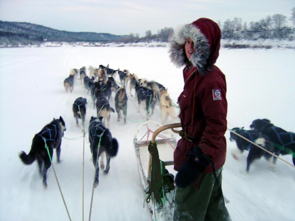 Engholm Husky Design Lodge Karasjok Bagian luar foto