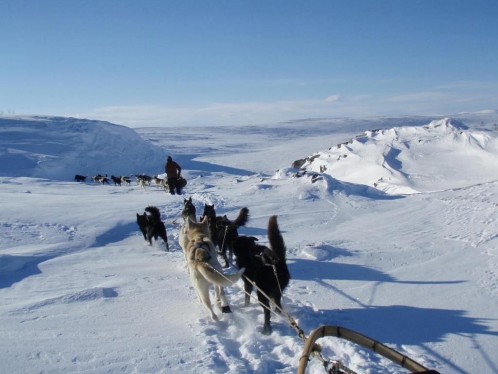 Engholm Husky Design Lodge Karasjok Bagian luar foto