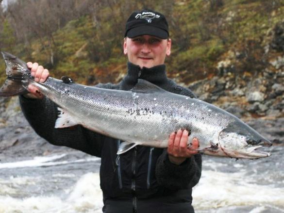 Engholm Husky Design Lodge Karasjok Bagian luar foto