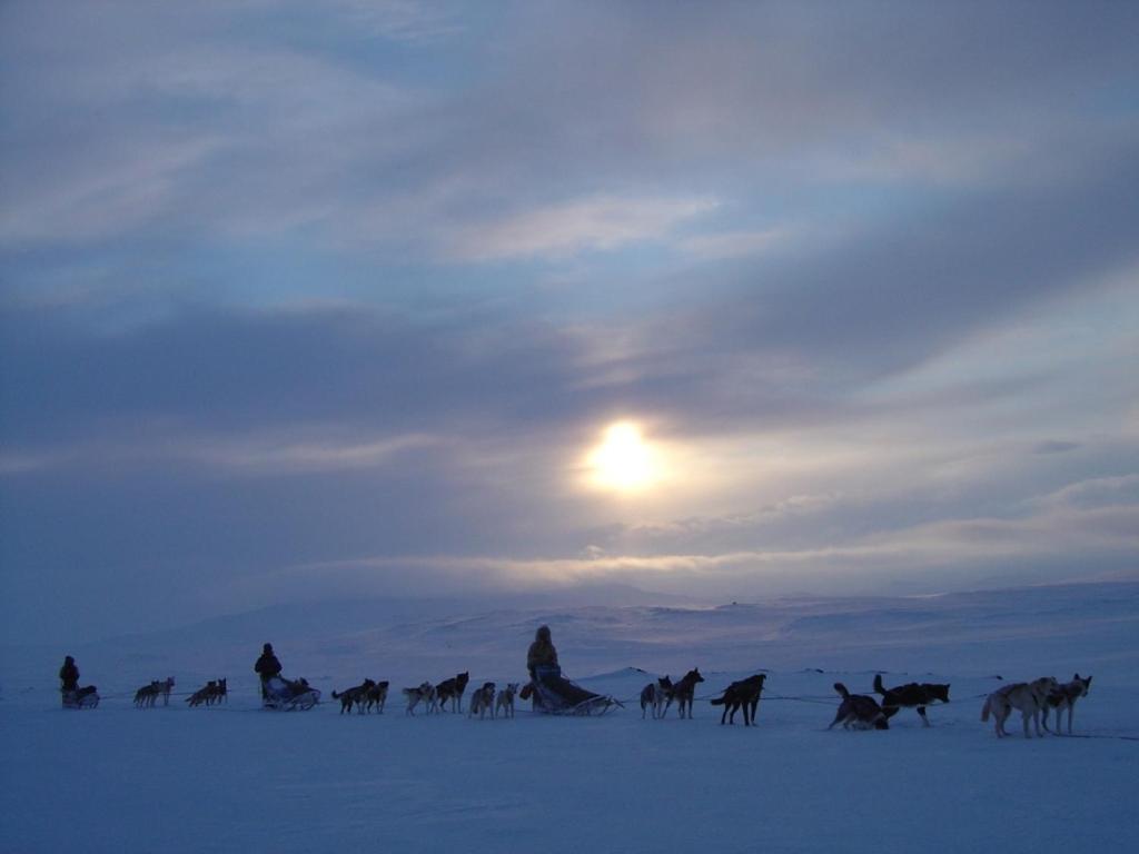 Engholm Husky Design Lodge Karasjok Bagian luar foto